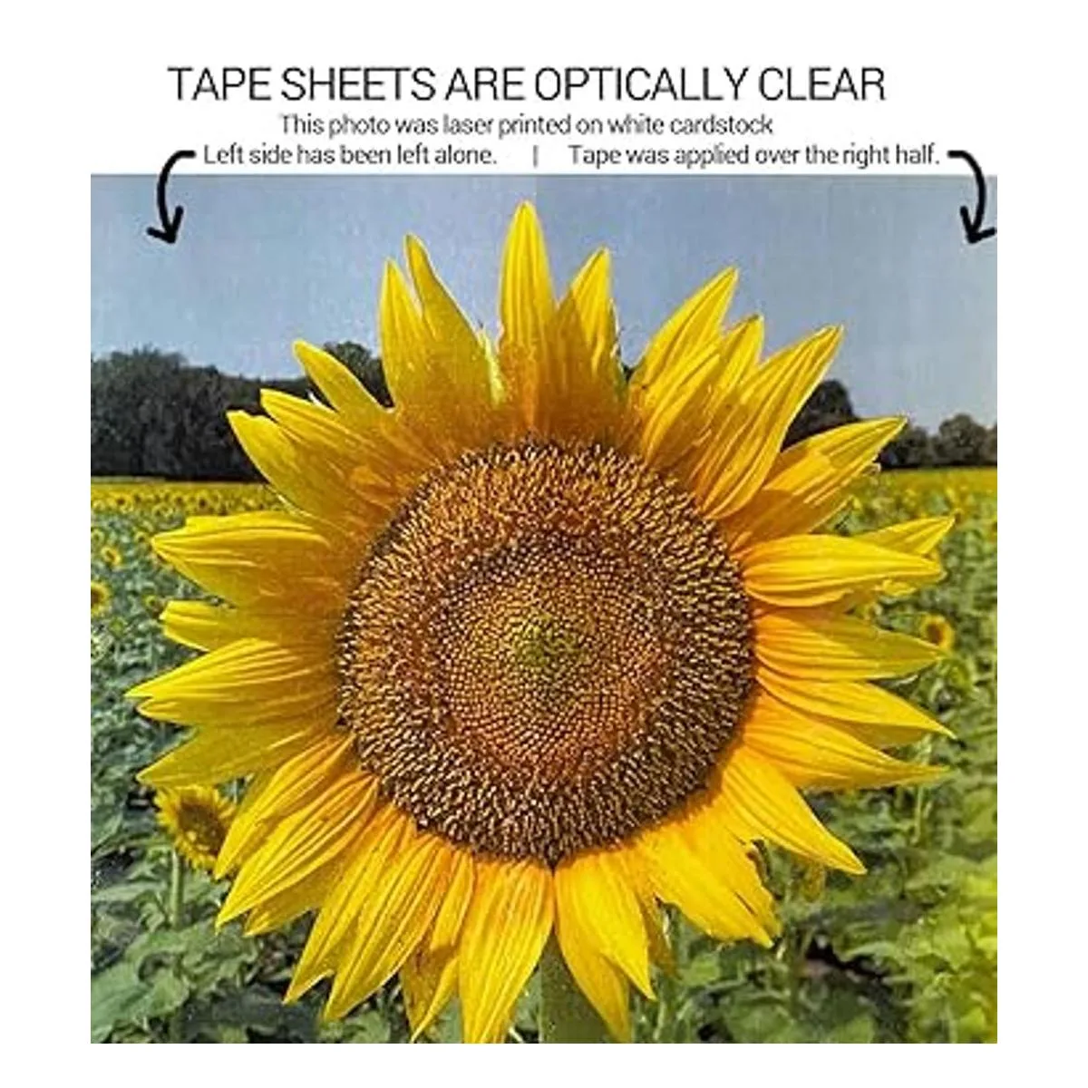 Hojas de cinta de doble cara por Chica and Jo paquete de_4