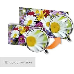 Panasonic Reproductor de DVD DVDS700 negro Convierte DVD_4