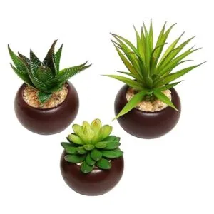Mini plantas suculentas en maceta artificiales juego de 3_2