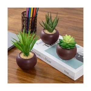Mini plantas suculentas en maceta artificiales juego de 3_5