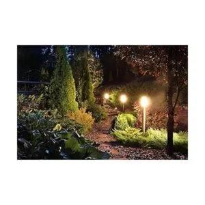 Paquete de 10 bombillas halógenas transparentes regulables