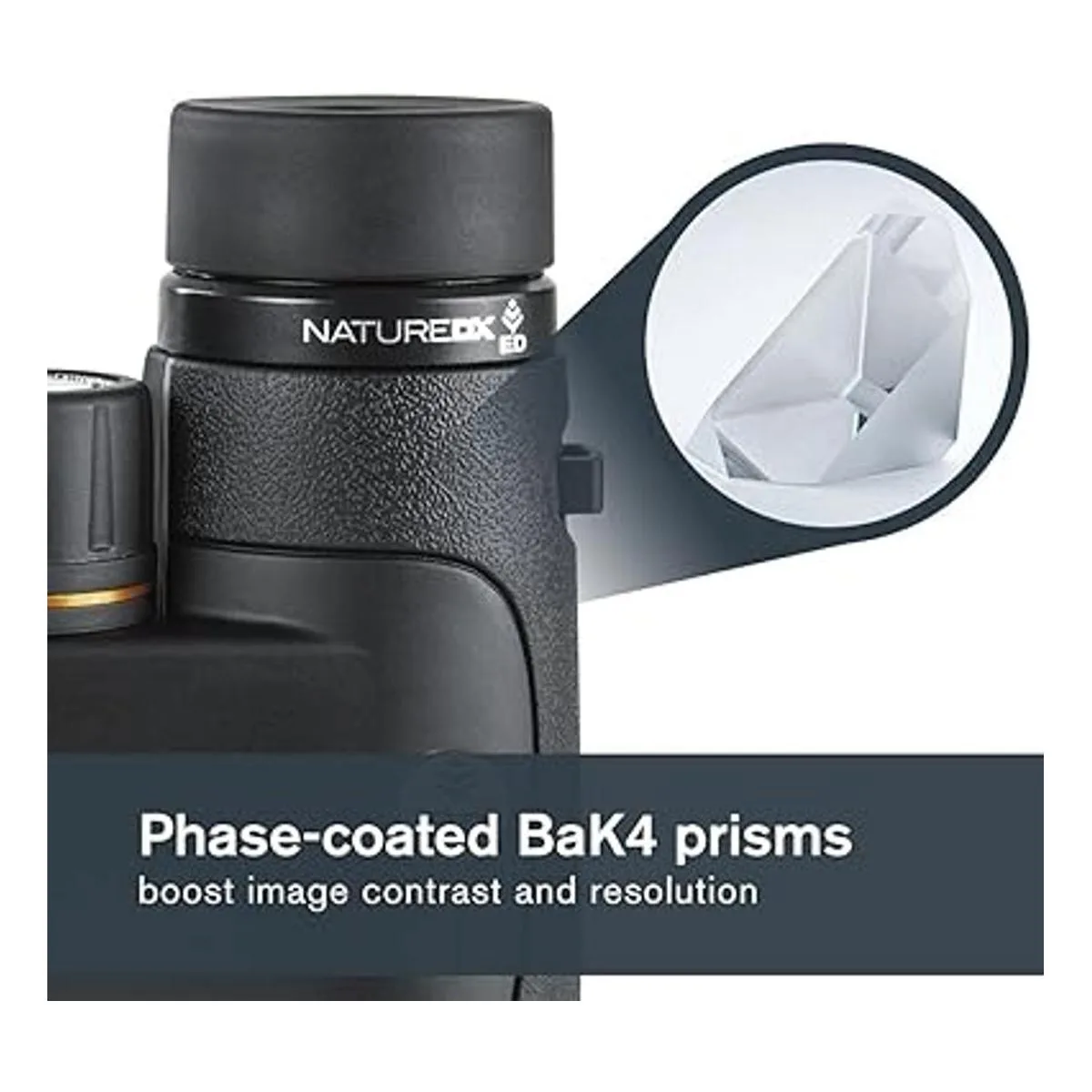 Celestron Nature DX ED Binoculares prémium de 8 x 42_5