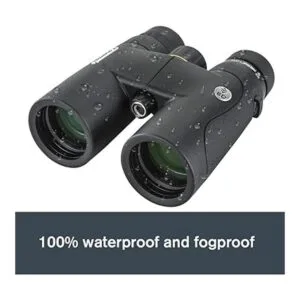Celestron Nature DX ED Binoculares prémium de 8 x 42_4