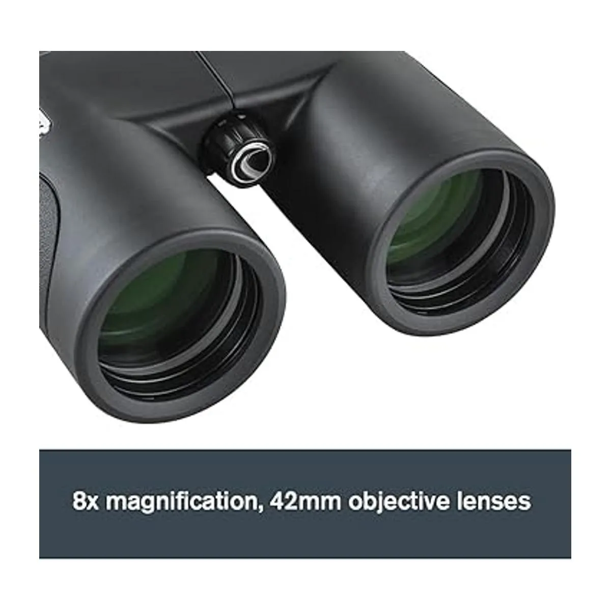 Celestron Nature DX ED Binoculares prémium de 8 x 42_6