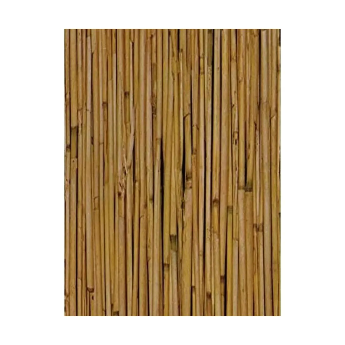 Fablon FAB10243 Película autoadhesiva de bambú color_1