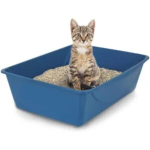 Caja de arena Petmate S
