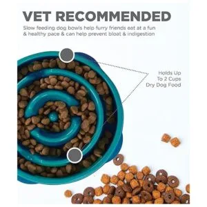 Outward Hound Fun Feeder Slo Bowl_4