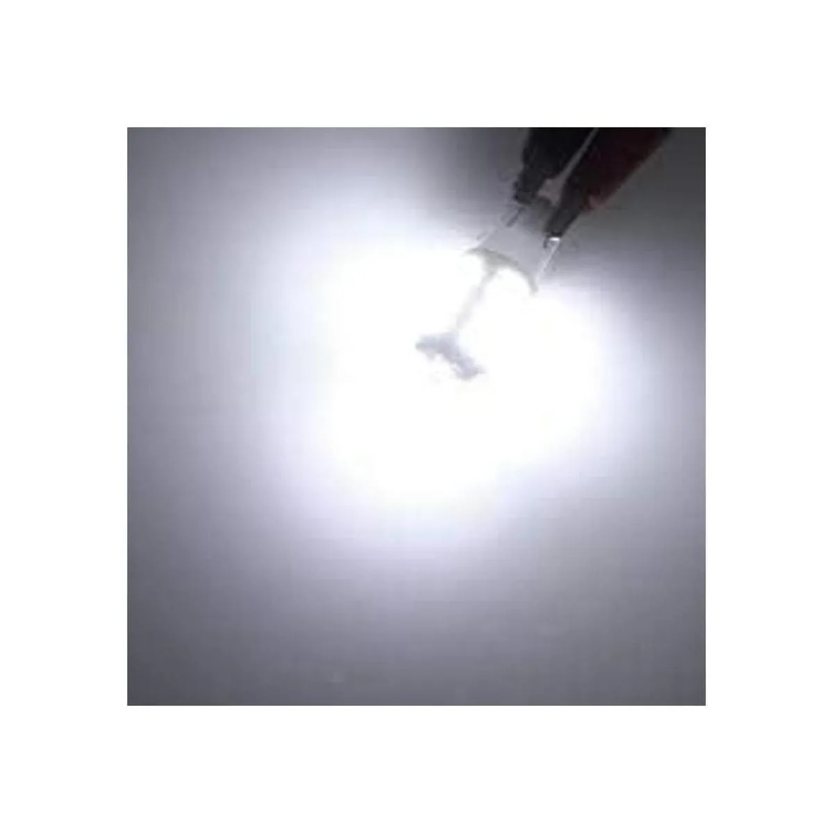 T10T5 HQ 10 unidades de focos 12 V DC con 42 ledes cada_4