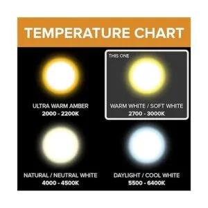 Paquete de 10 G8 35 W 120 V Focos con luces halógenas JCD