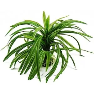 CNZ Ornamentación de plantas artificiales de plástico_1