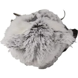 Kurt Adler Owl 10 pulgadas grisblanco