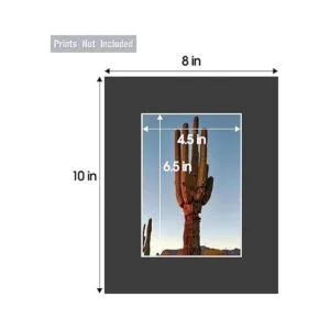 Golden State Art Tapete de fotos de 4 capas de grosor de_2