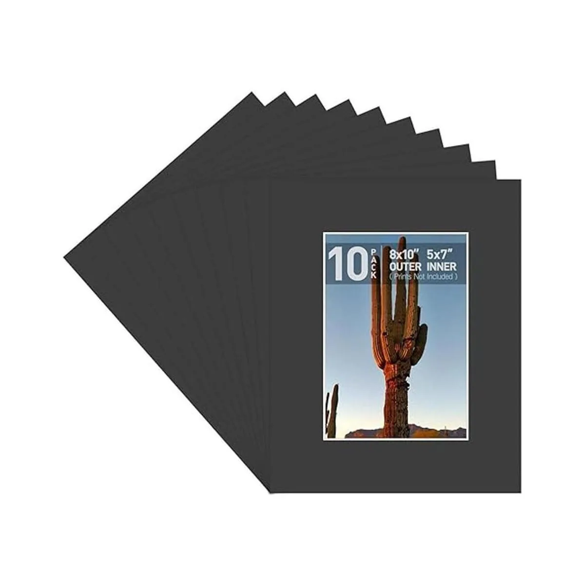 Golden State Art Tapete de fotos de 4 capas de grosor de_1