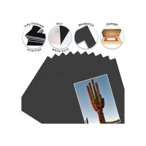 Golden State Art Tapete de fotos de 4 capas de grosor de_3