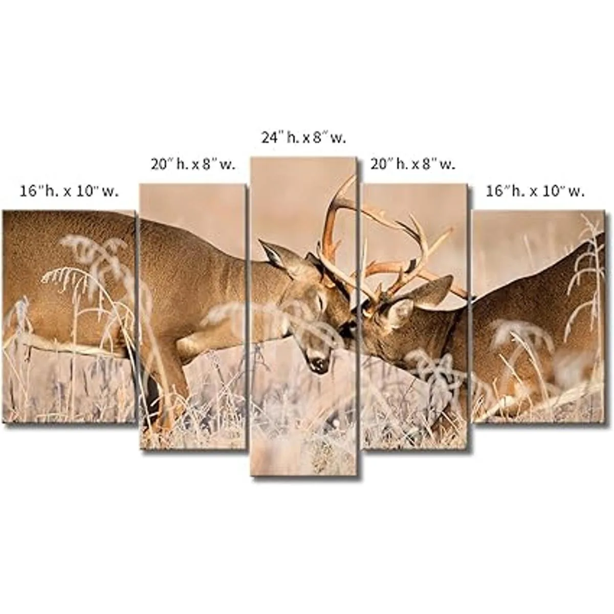 5 paneles de arte de pared con diseño de ciervo de cola