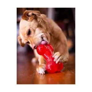 SPOT by Ethical Products Play Strong Bones Chew Toys and