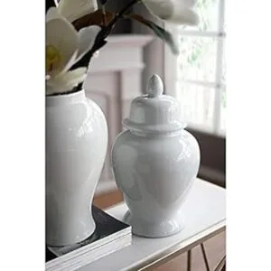 AB Home Tarro de jengibre 10 x 17 pulgadas_3