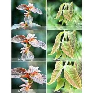 Mcoplus Extnp Juego de tubos de extensión macro de_2