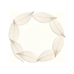 100 pcs. Esqueleto tarjeta de hule natural Hojas_2