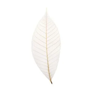 100 pcs. Esqueleto tarjeta de hule natural Hojas_1