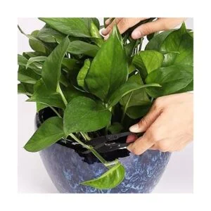 Tijeras de poda para podar árboles bonsai 5 piezas_5