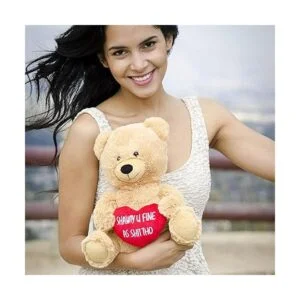 Oso de peluche gracioso Hollabears con texto en inglés_2