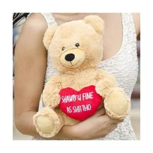 Oso de peluche gracioso Hollabears con texto en inglés_5