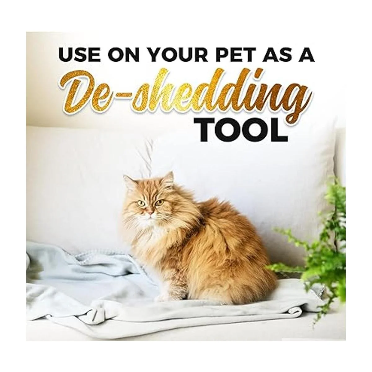 Colorado Saddlery Groomers Pelos de pómez para mascotas_2