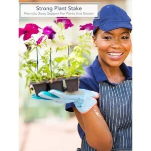 Royal Imports Estaca de madera verde de 8 pulgadas púas