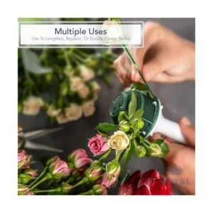 Royal Imports Estaca de madera verde de 8 pulgadas púas