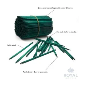 Royal Imports Estaca de madera verde de 8 pulgadas púas