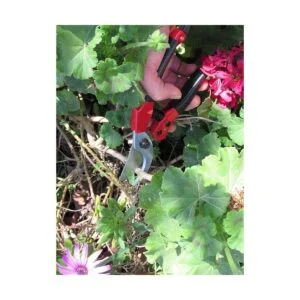 Herramientas S821 profesional Tabor de Sharp Bypass._4