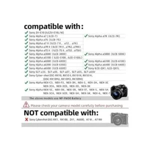 Glorich ACPW20 Adaptador de corriente CA NPFW50 Batería_3