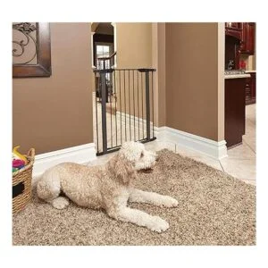 Hogares de Midwest para mascotas puerta de acero para_2