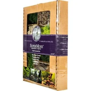 SuperMoss 50310 Kit de jardín de hadas musgos mixtos 4_2