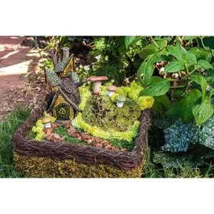 SuperMoss 50310 Kit de jardín de hadas musgos mixtos 4_4