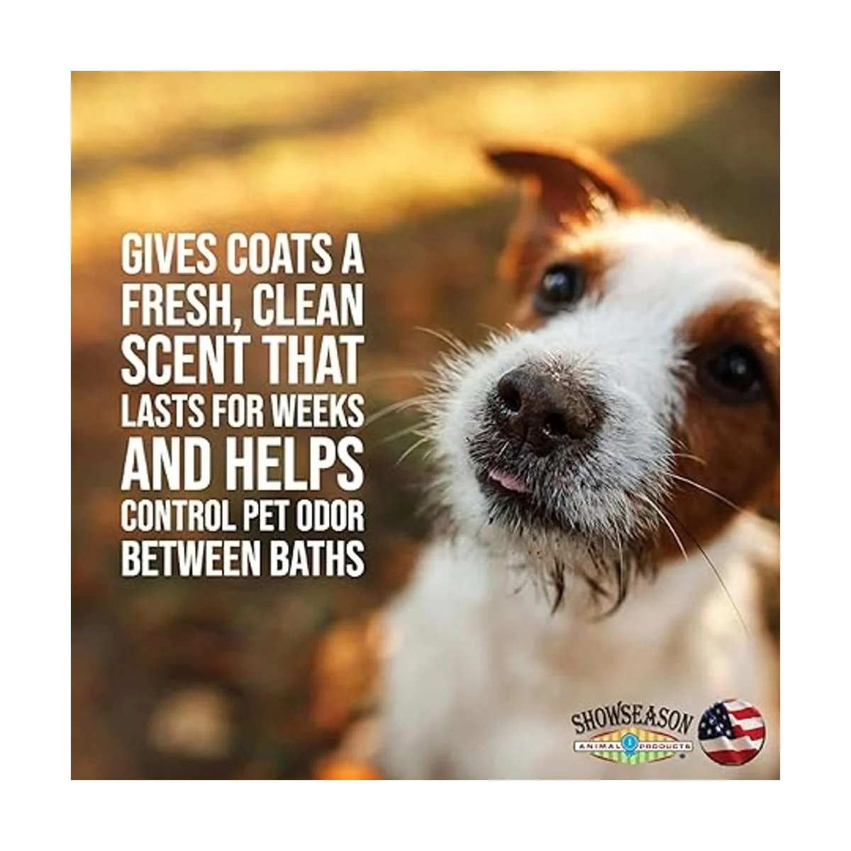 South Barks Colonia para mascotas con clavo de arándano_3