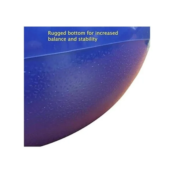 Hippity Hop 55cm Including Free Foot Pump for Children_3