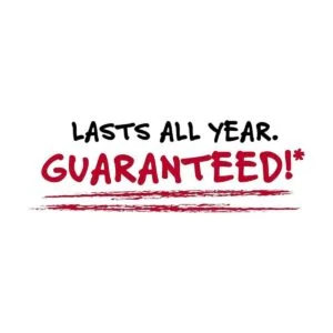 Five Star Advance Cuaderno en espiral 5 temas papel a_2