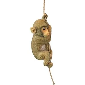 Design Toscano Estatua de Bebé Chimpancé colgando_2