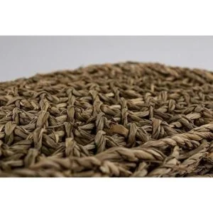 PennPlax Reptology Camastros para lagarto 100 fibra_5