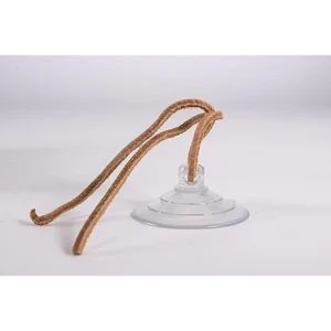 PennPlax Reptology Camastros para lagarto 100 fibra_6