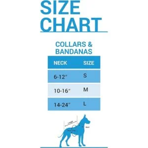 Pets First Collegiate Pet Accessories pañuelo para_2