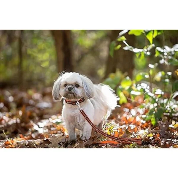 Pets First Cleveland Browns Leash_4
