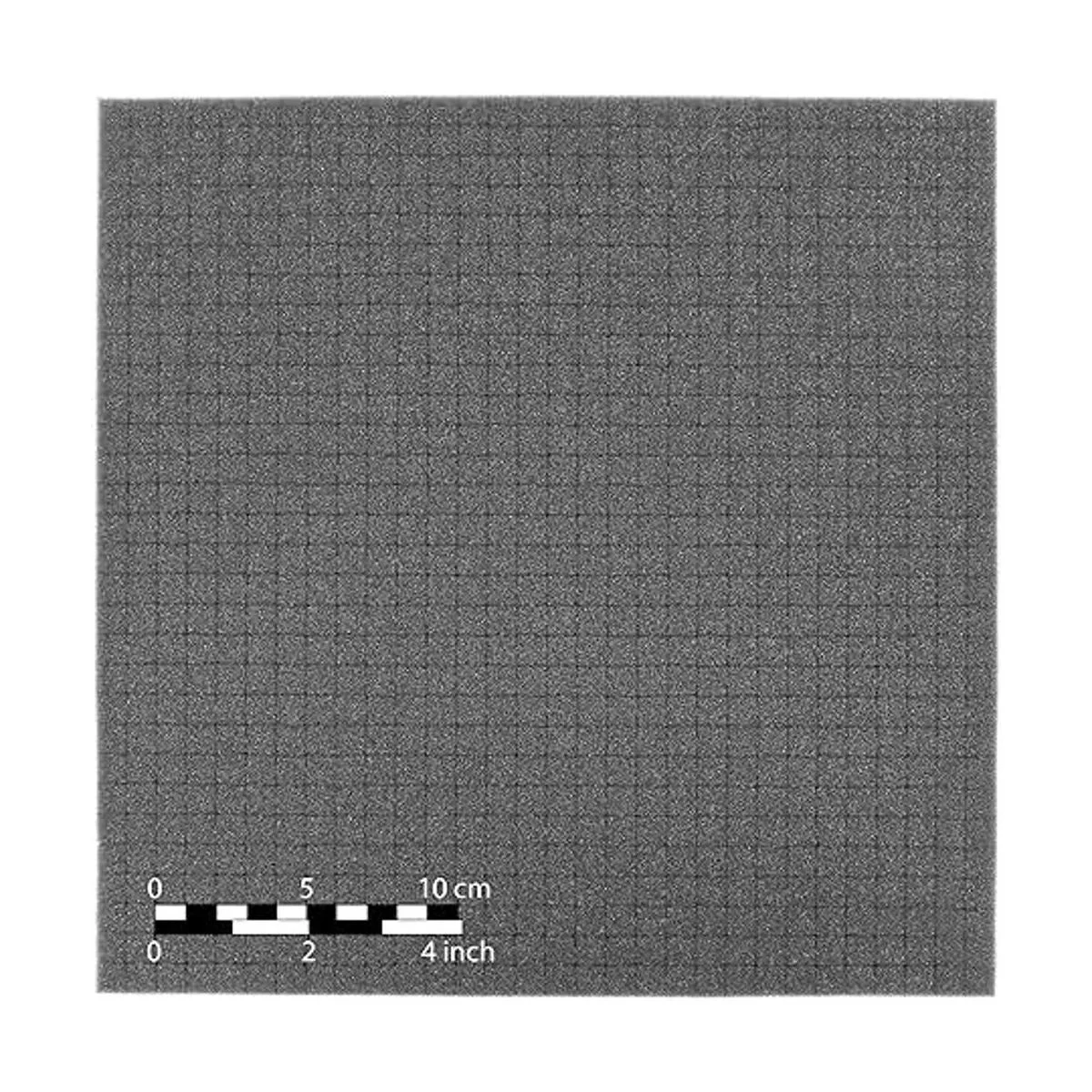 Pick and Pluck Bandeja de espuma precubada de 11.811 in x