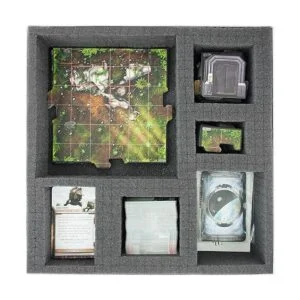 Pick and Pluck Bandeja de espuma precubada de 11.811 in x