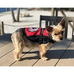 Chaleco de apoyo emocional premium para perros chaleco_6