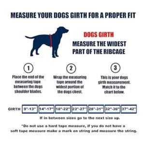 Chaleco de apoyo emocional premium para perros chaleco_2