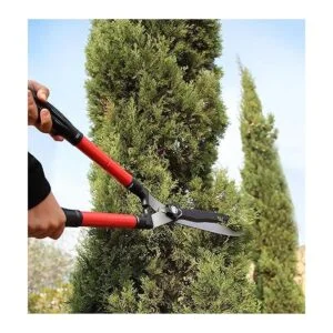 TABOR TOOLS B212A Tijeras telescópicas para setos con_4