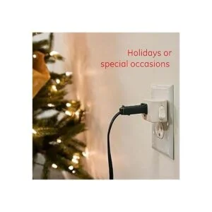 Interruptor eléctrico con conexión a tierra 25511 color